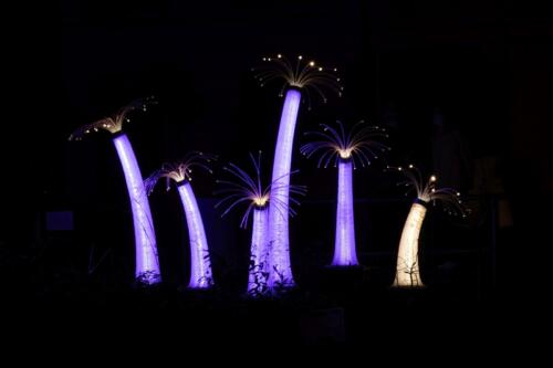 Eric Mol - Clubuitje Amsterdam Light Festival - 6
